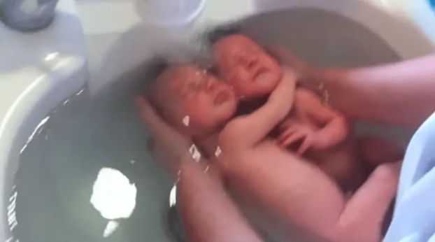 Neugeborene Zwillinge hören nicht auf zu kuscheln wie schon im Mutterleib